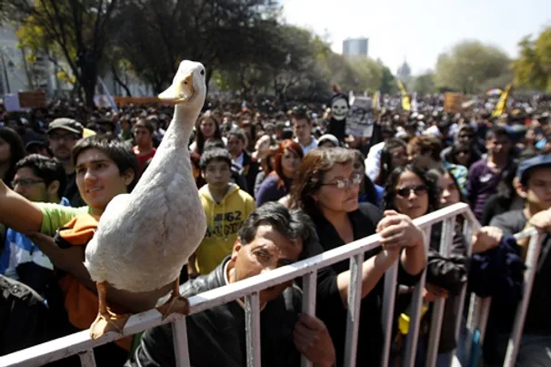 Dirty Duck closed due to flooding caused by duck rights activist